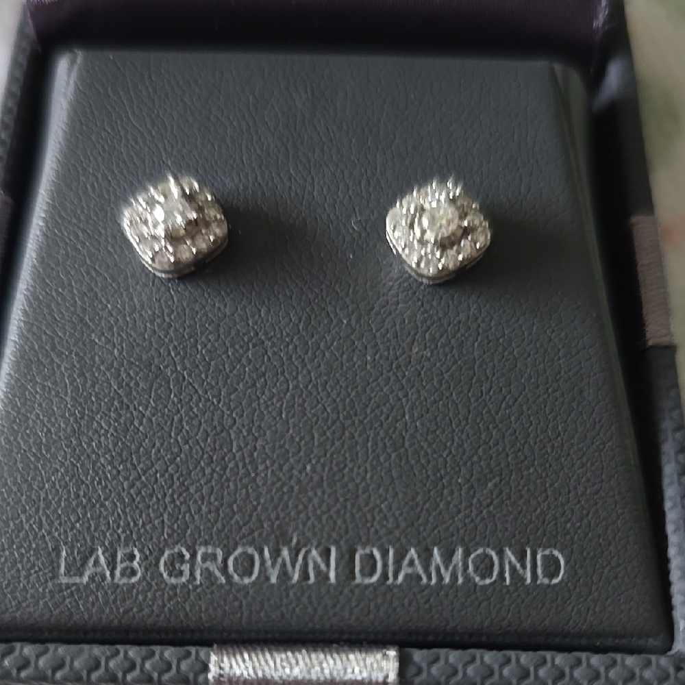 Elegant Silver Stud Earrings